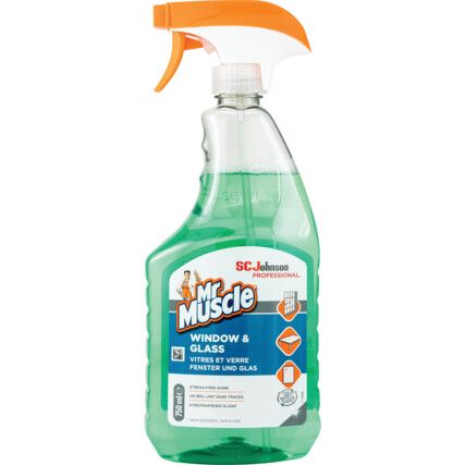 Glass Cleaner, 750ml, Spray Bottle